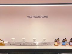 -野鸽子咖啡(中航店)