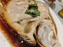 清蒸多宝鱼-新洪记·丽久饭店(铁西店)