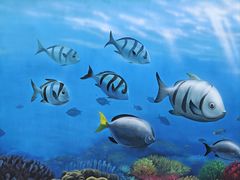 -大梅沙海滨公园