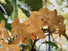 -BOCATA 西班牙餐厅(三里屯店)