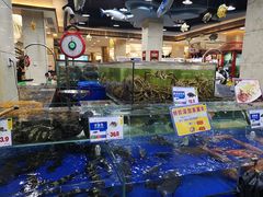 水产区-东江海鲜酒家(艺都分店)