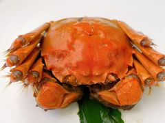 -苏小柳点心·手作小笼包(新街口分院店)