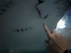-南昌海洋公园