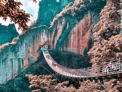 -武陵山森林公园