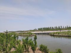 -春花秋色城市公园