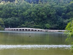 -深圳仙湖植物园