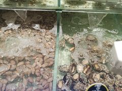 -大润发(国兴店)