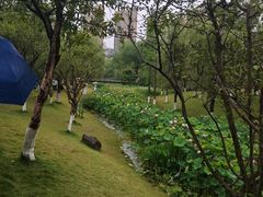 -沐仙湖湿地公园