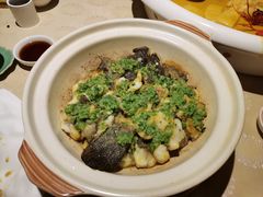 石斑鱼-成隆行·蟹王府(九江路店)