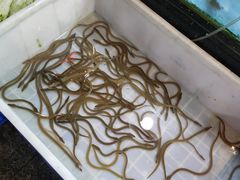 -顺丰轩园林酒家(天河店)