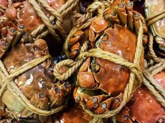 -呼吸森林·生态农庄农家乐私房菜