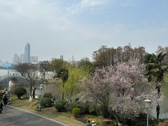 -月湖风景区