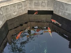 -西安市广仁寺