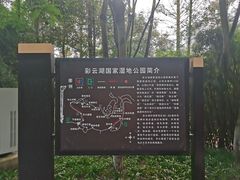 -重庆彩云湖湿地公园