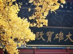 -红螺寺