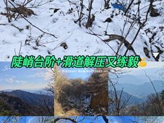 -王顺山国家森林公园