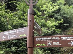 -苍龙峡风景区