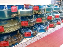-地方名吃海鲜大馅蒸饺(北戴河店)