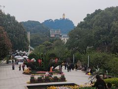 -南山植物园