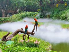 -广州长隆飞鸟乐园