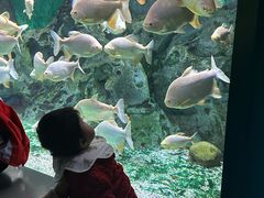 -常州海昌海洋探索馆