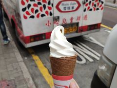 -富豪雪糕车流动点(尖沙咀店)