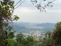 -梧桐山风景名胜区