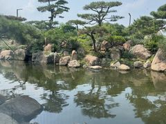 -罗红摄影艺术馆