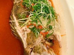 清蒸桂鱼-上海和平饭店龙凤厅 Dragon Phoenix