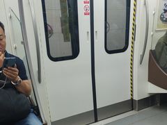 -杨柳河(地铁站)