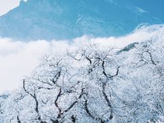 -梵净山旅游区