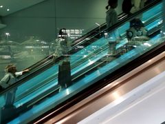 -香港国际机场
