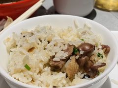 -大鸽饭(体育西路店)