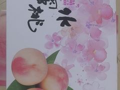 -老袁家蜜桃农场·阳山水蜜桃