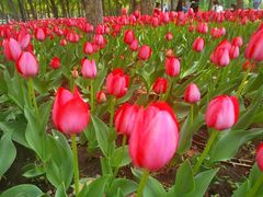 -长春公园(普阳街道)