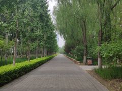 -大兴滨河森林公园