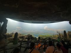 -水洞沟旅游区