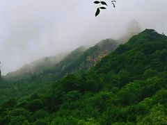 -青峰峡国家森林公园