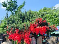 -泰山风景名胜区