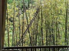 -娄山关景区