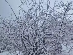 -太子岭滑雪场