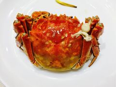 -新海利海鲜城·41年珠海老字号(夏湾店)