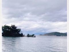 -小普陀