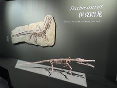 -遇见博物馆(遇见海洋沉浸式奇幻光影展)