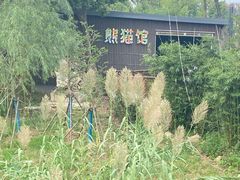 -武汉动物园