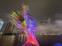 -新龙船黄浦江餐饮游船官方自营店