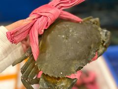 -秦记香辣蟹(松榆里店)