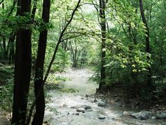 -关门山森林公园