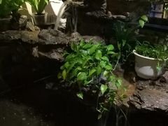 -天怡·鱼工厂(临江店)
