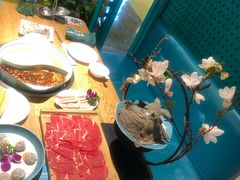 -青瓷火锅料理(西单大悦城店)